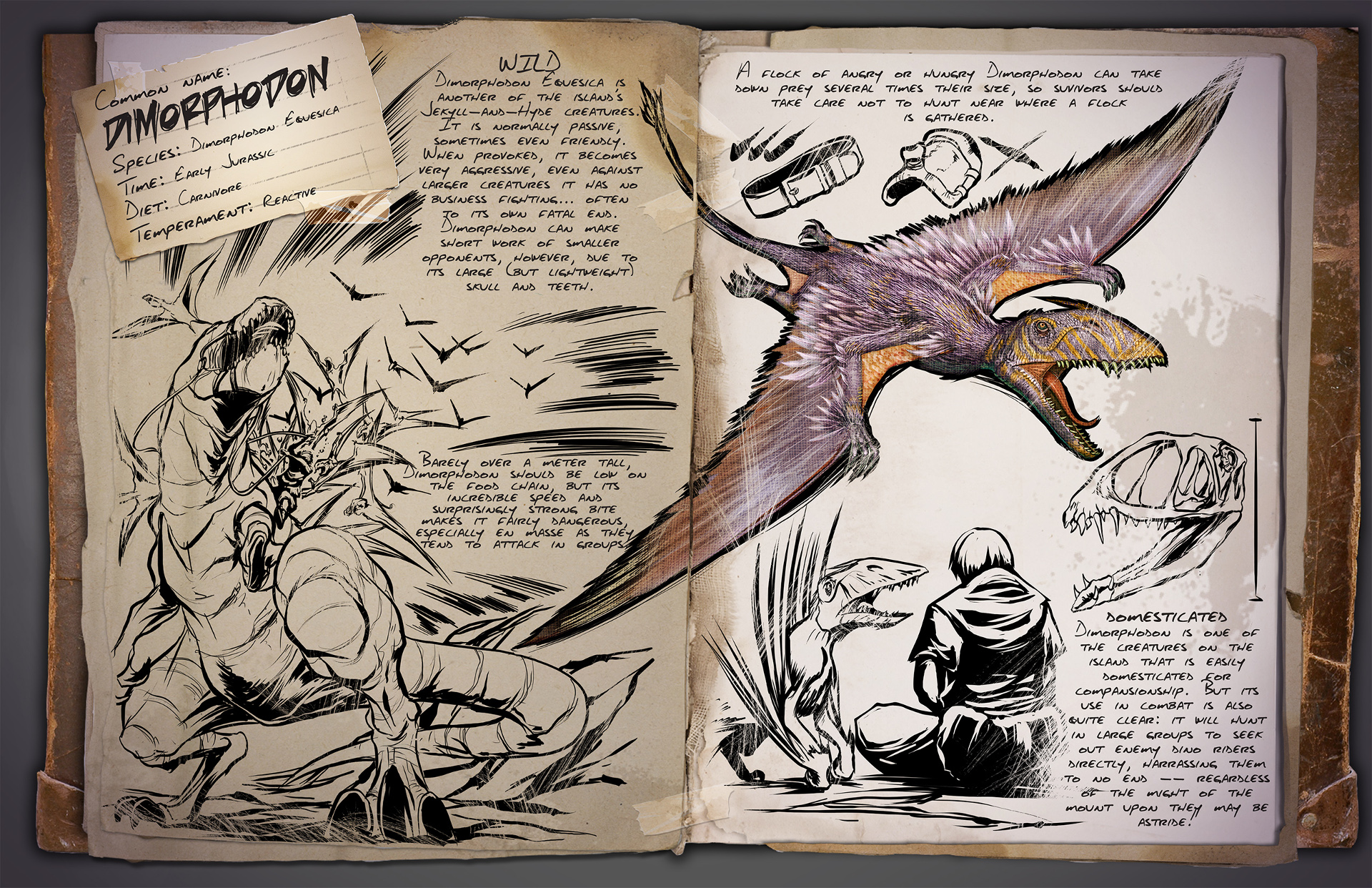 Dino Dossiê: Dimorphodon