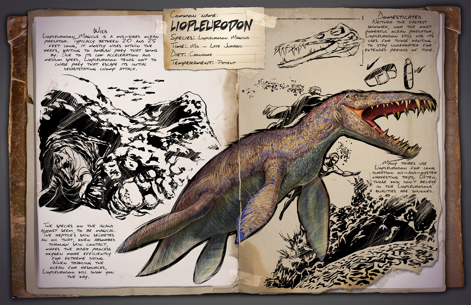 Deutsches Dino Dossier: Liopleurodon