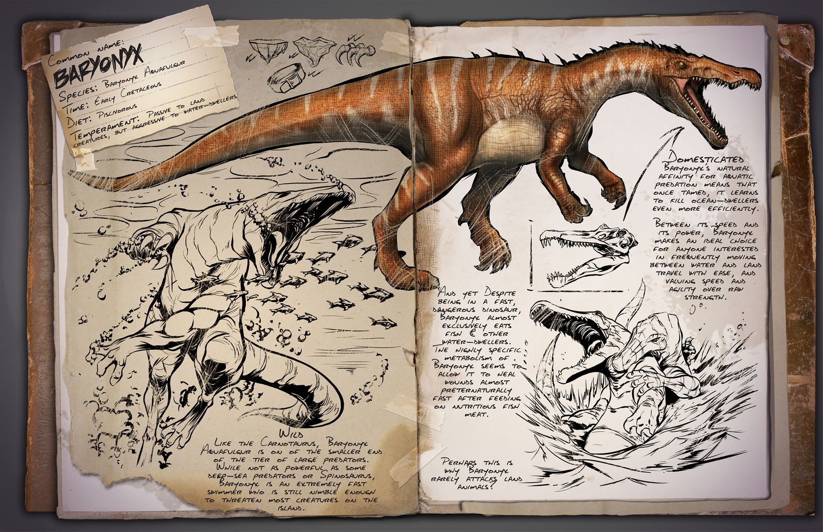 Swedish Dino dossier: Baryonyx (Baryonyx aquafulgur)