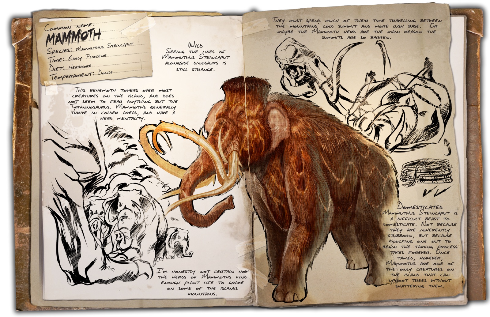 Deutsches Dino Dossier: Mammut