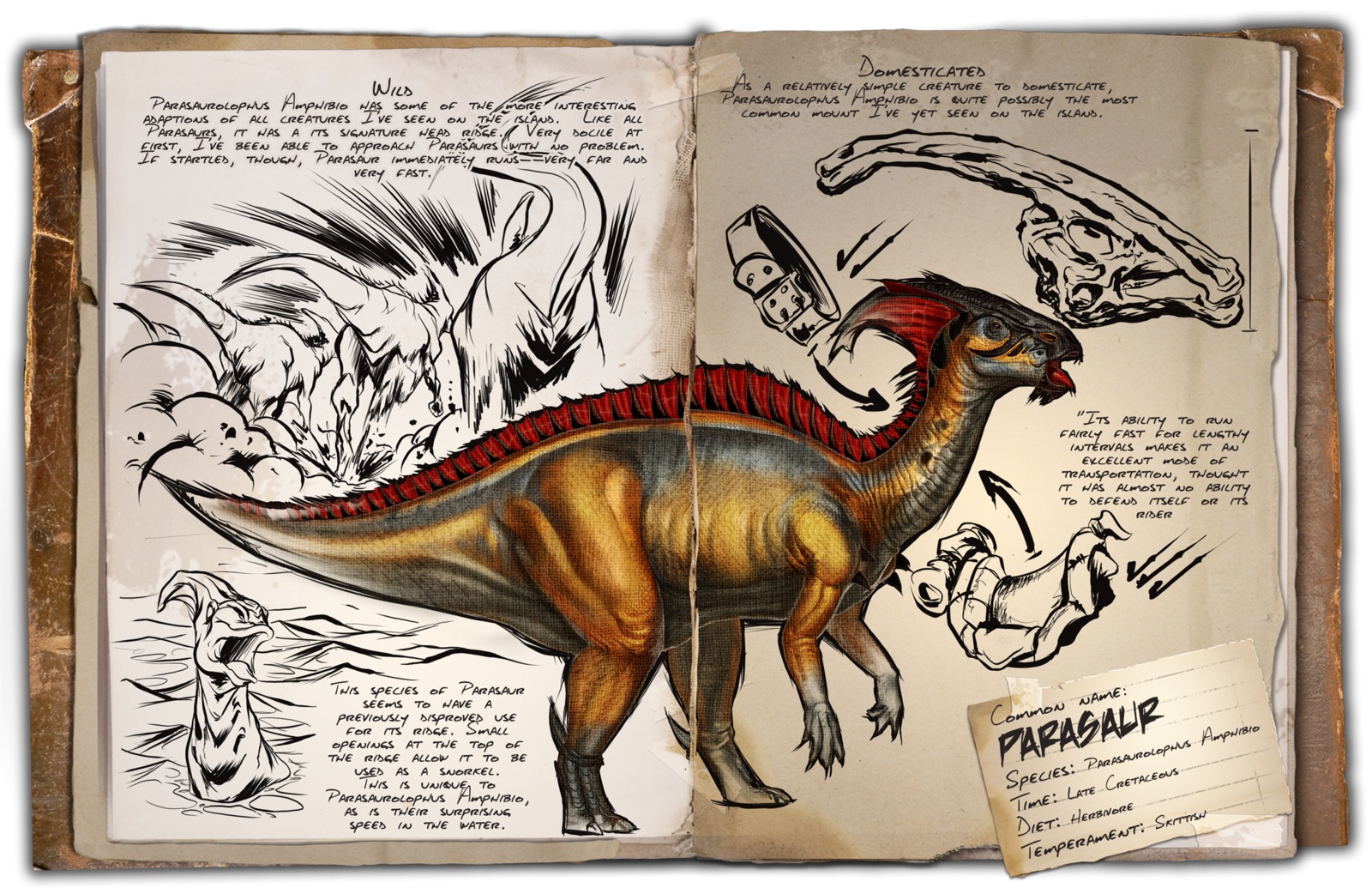 Deutsches Dino Dossier: Parasaur