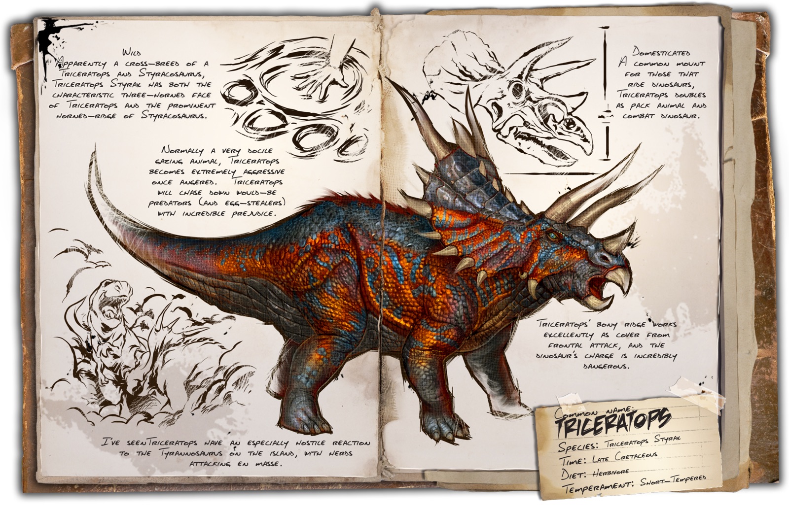 Deutsches Dino Dossier: Triceratops