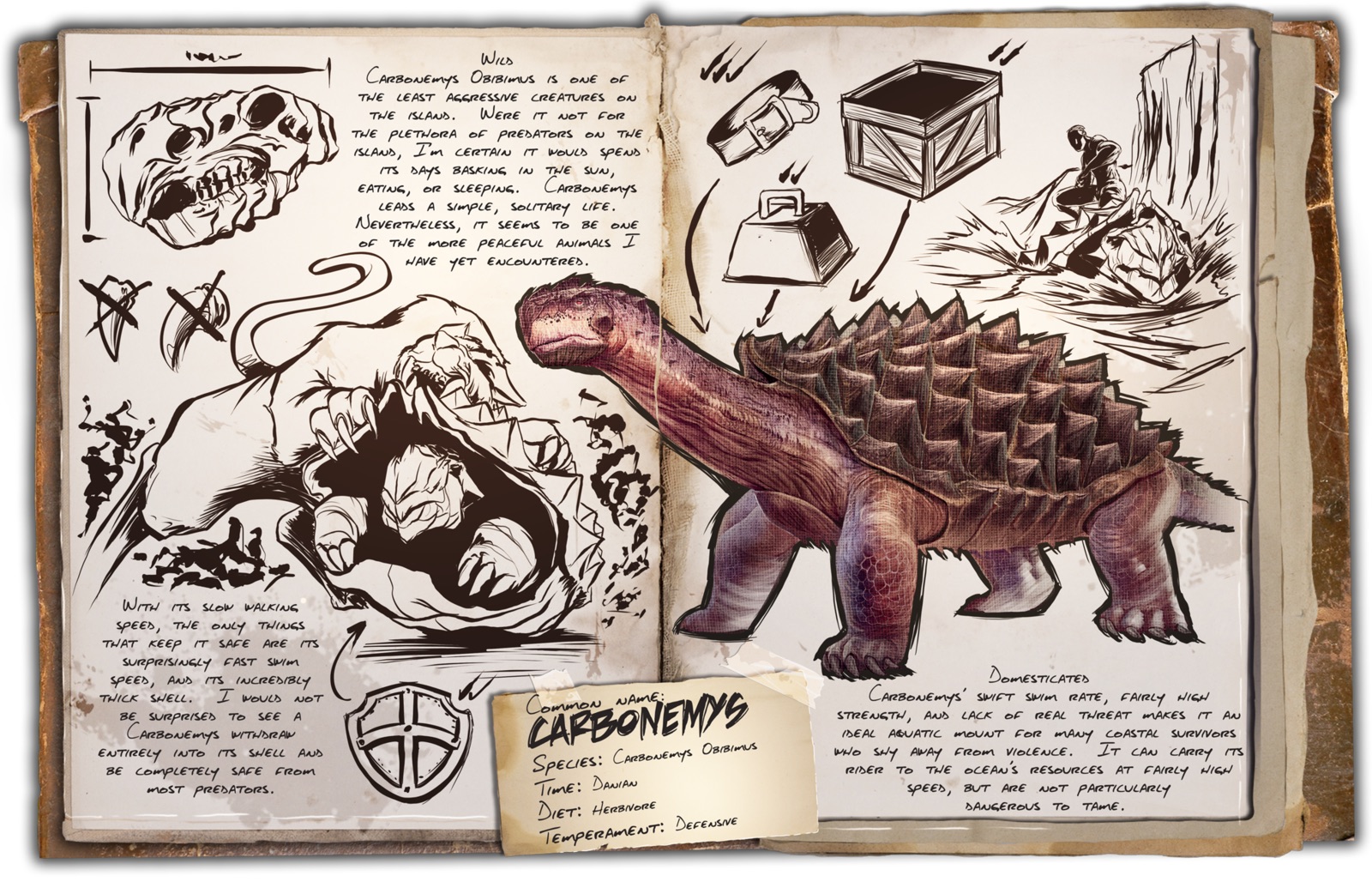 Dino Dossier: Carbonemys – Turtle