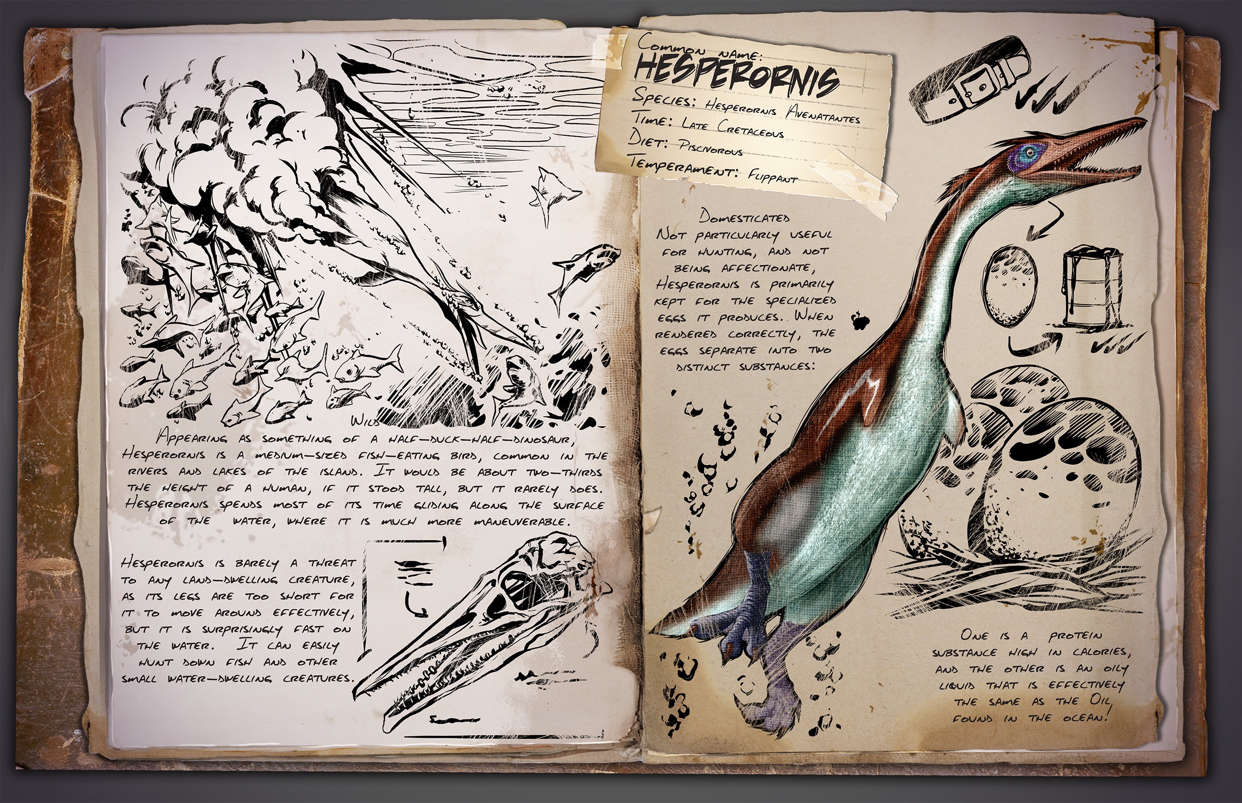 Dossier de Dino: Hesperornis
