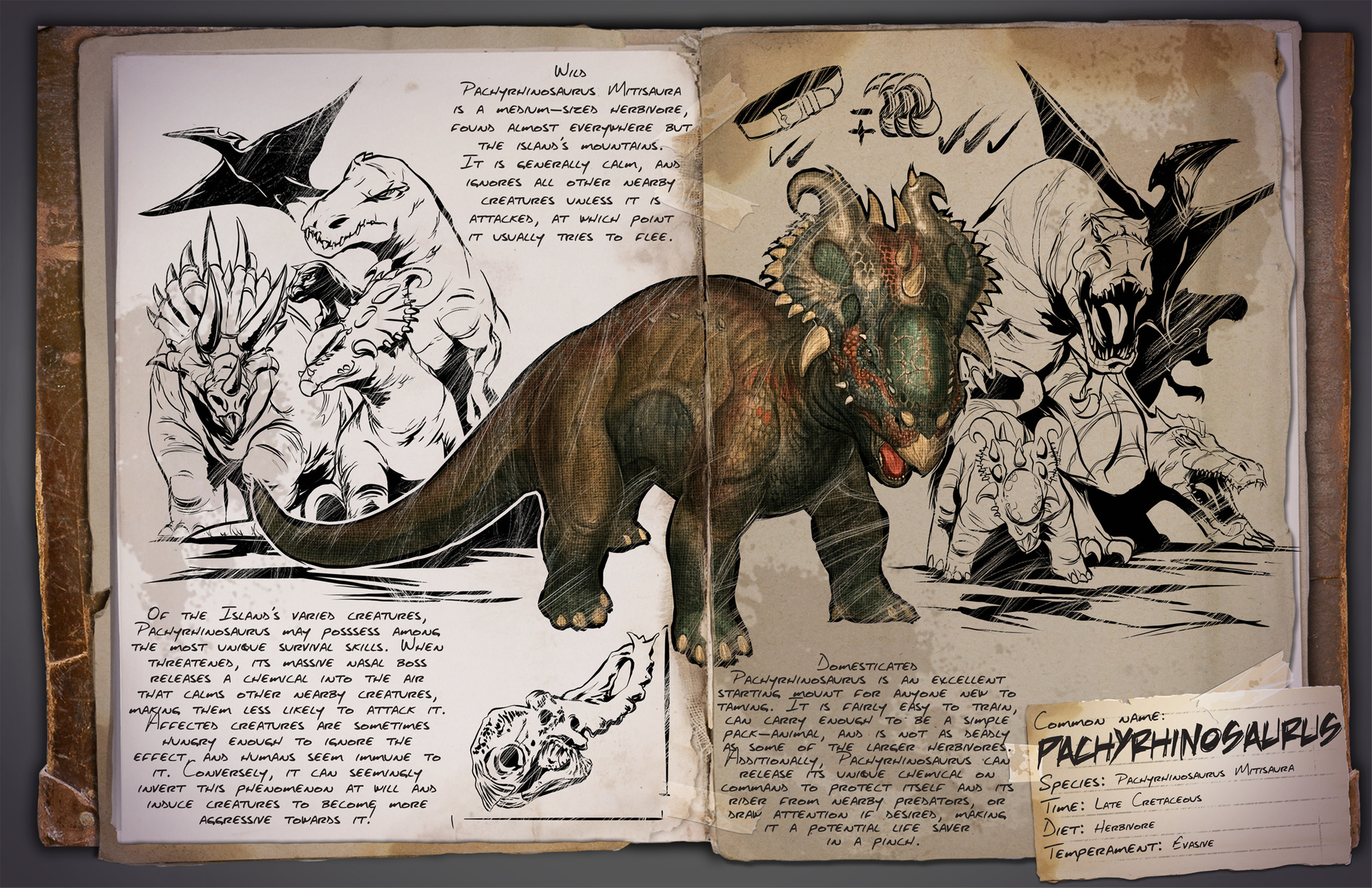 Deutsches Dino Dossier: Pachyrhinosaurus