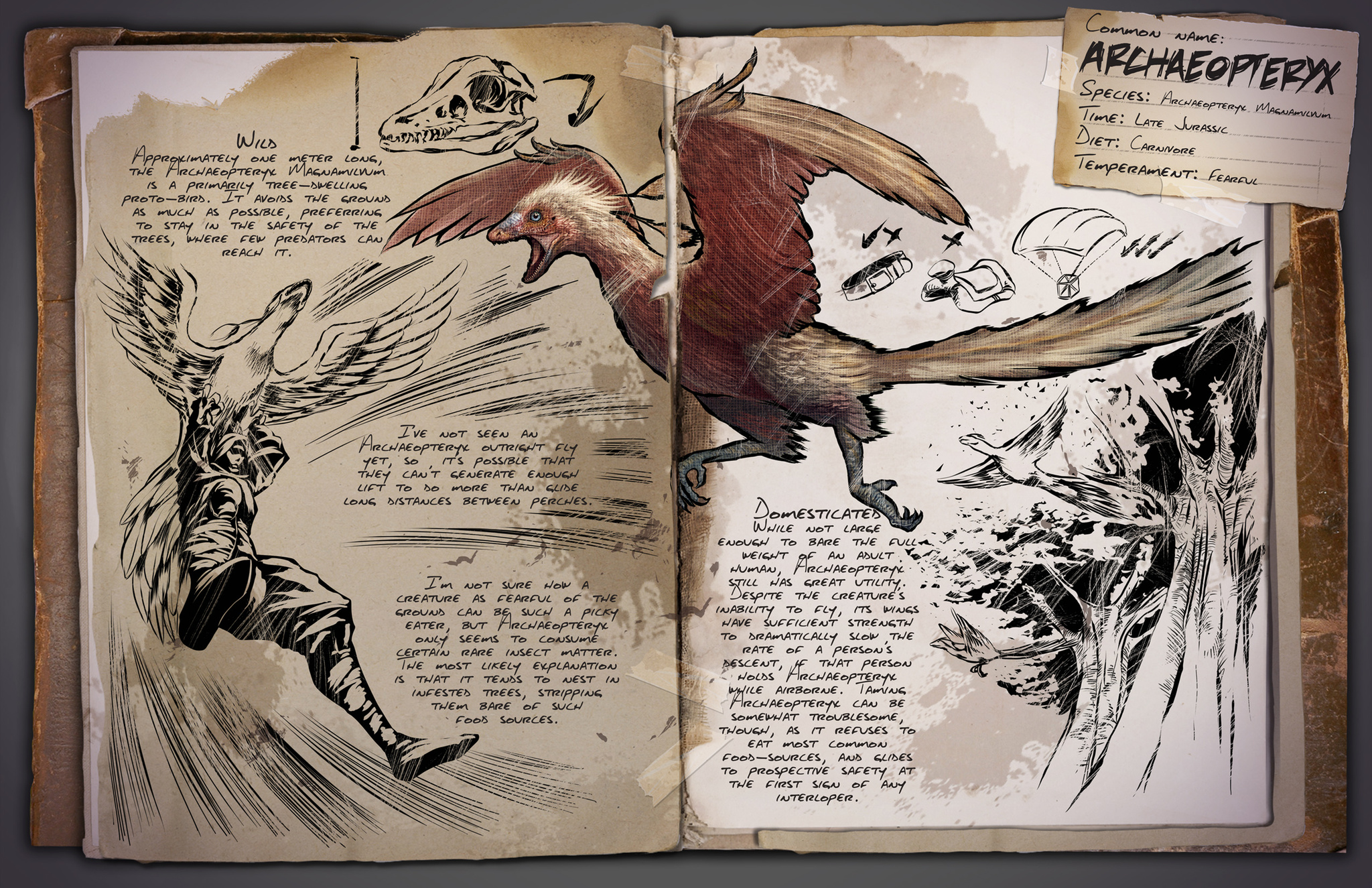 Deutsches Dino Dossier: Archaeopteryx