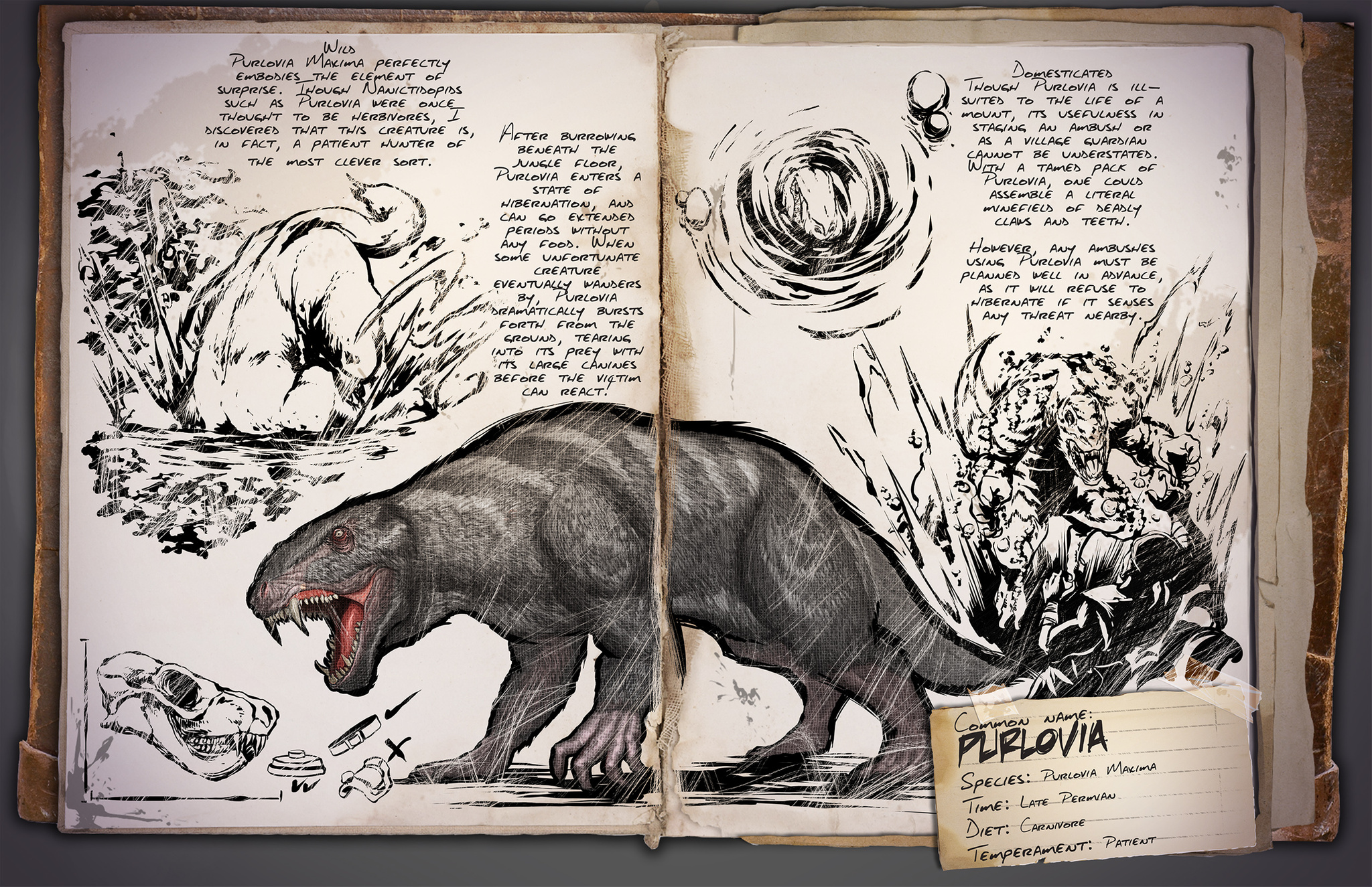 Dino Dossier: Purlovia