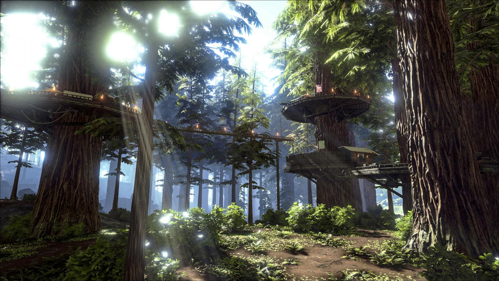 The Redwood Biome! with Spotlight