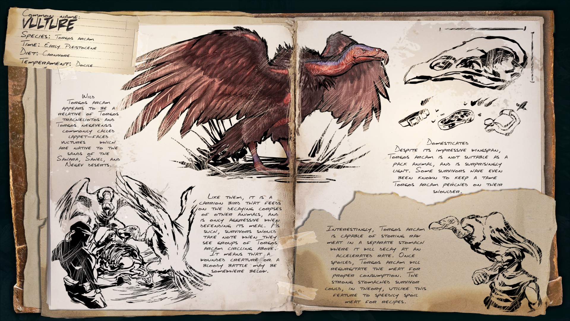 Deutsches Dino Dossier: Vulture – Geier (Scorched Earth)