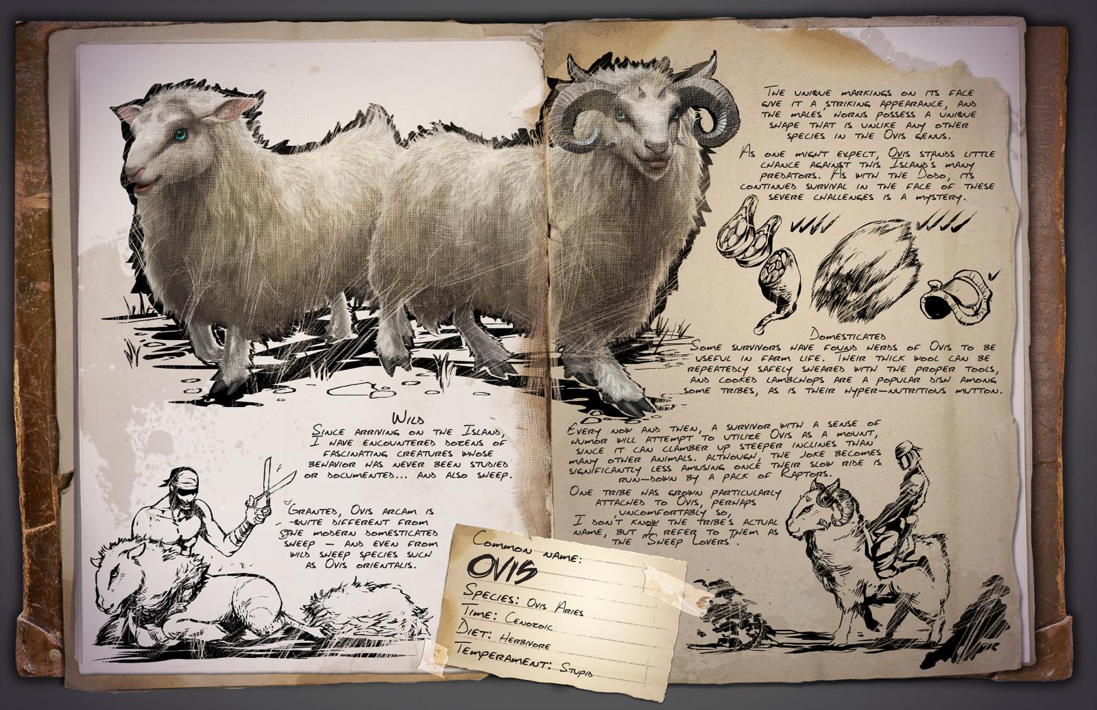 Dino Dossier: Ovis