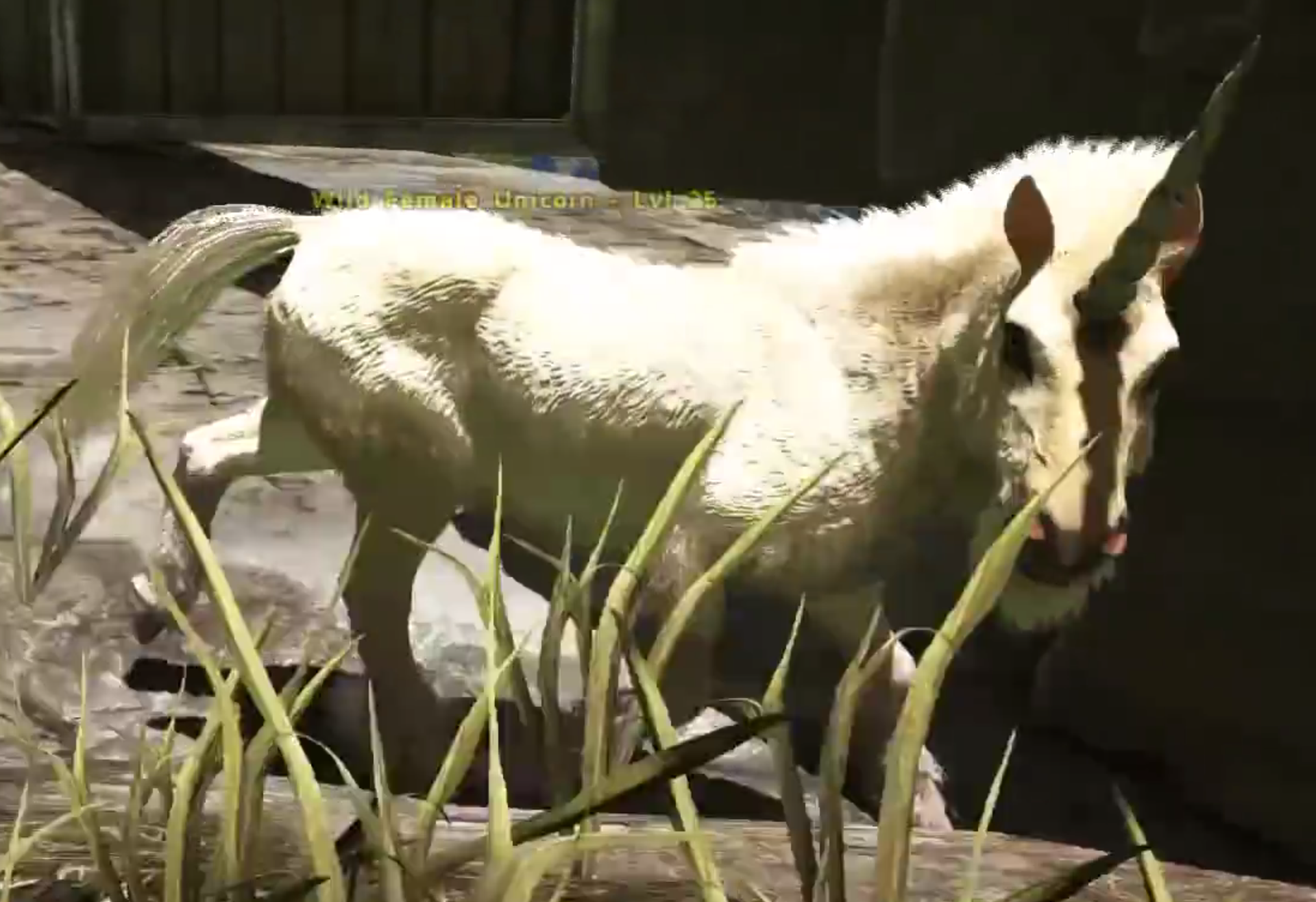 Fange ein Einhorn in ARK: Survival Evolved!