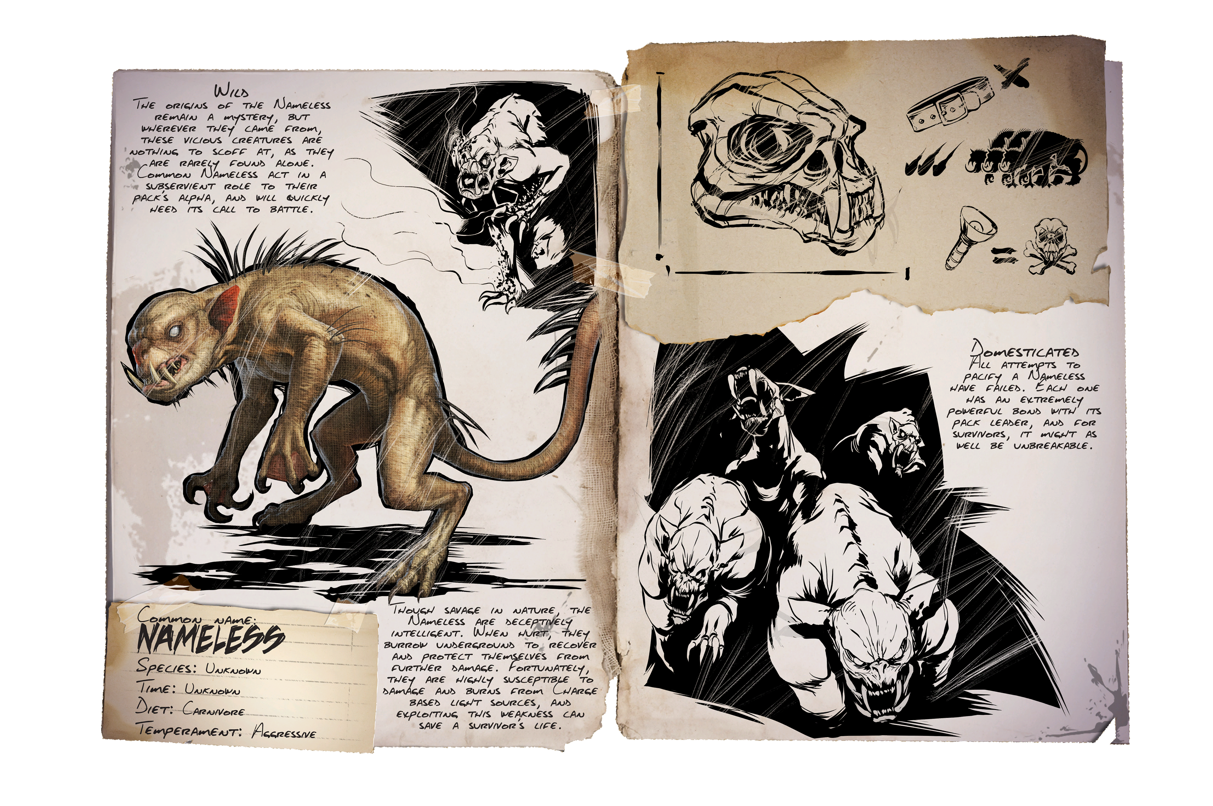 Dino Dossier: Nameless