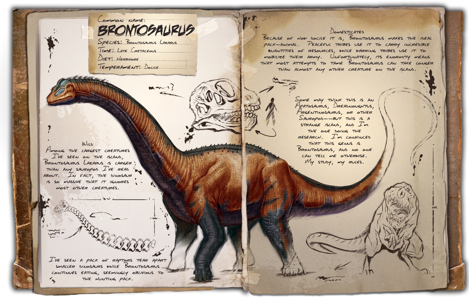 Deutsches Dino Dossier: Brontosaurus