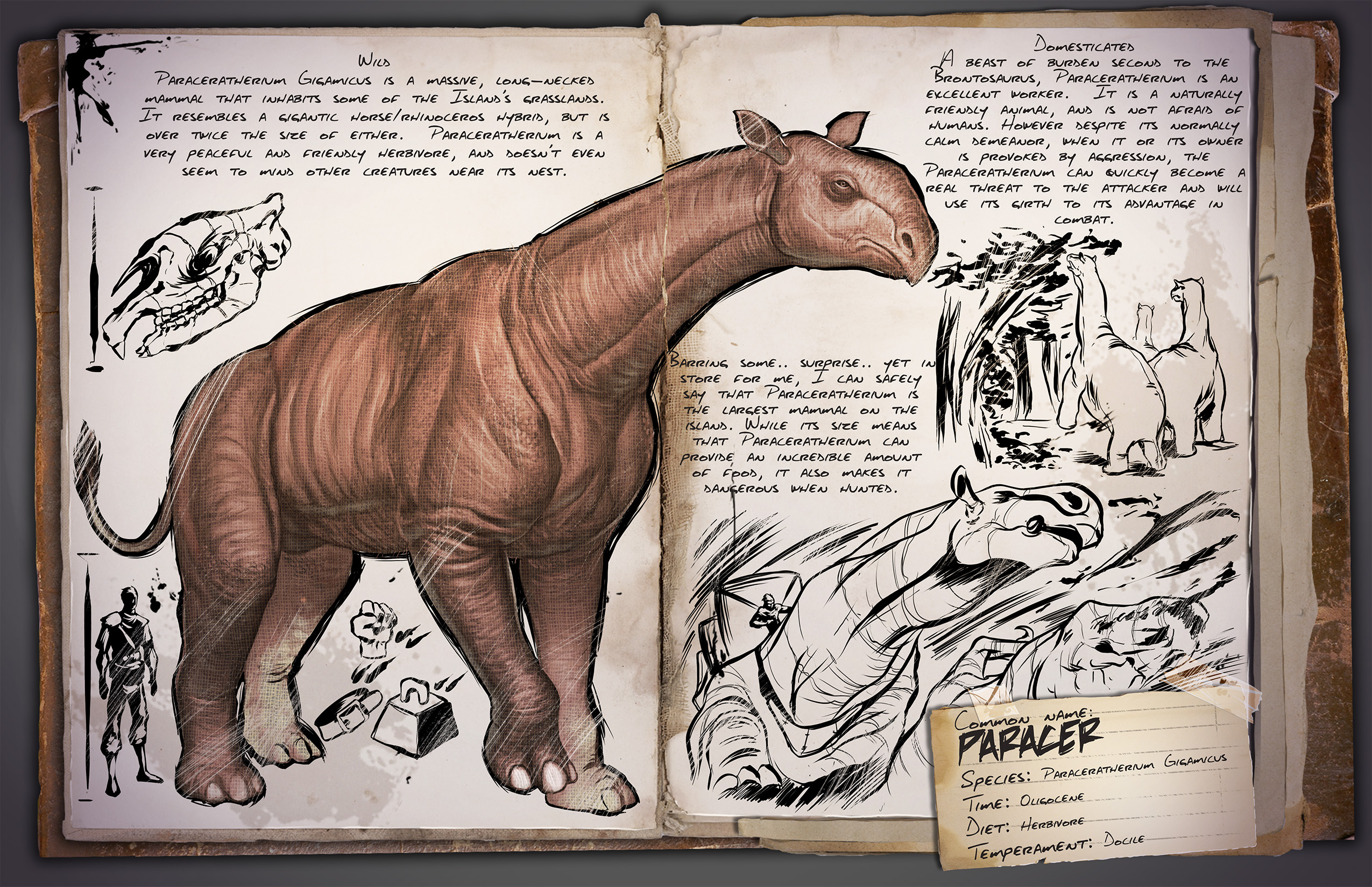 Dino Dossier: Paraceratherium aka Paracer