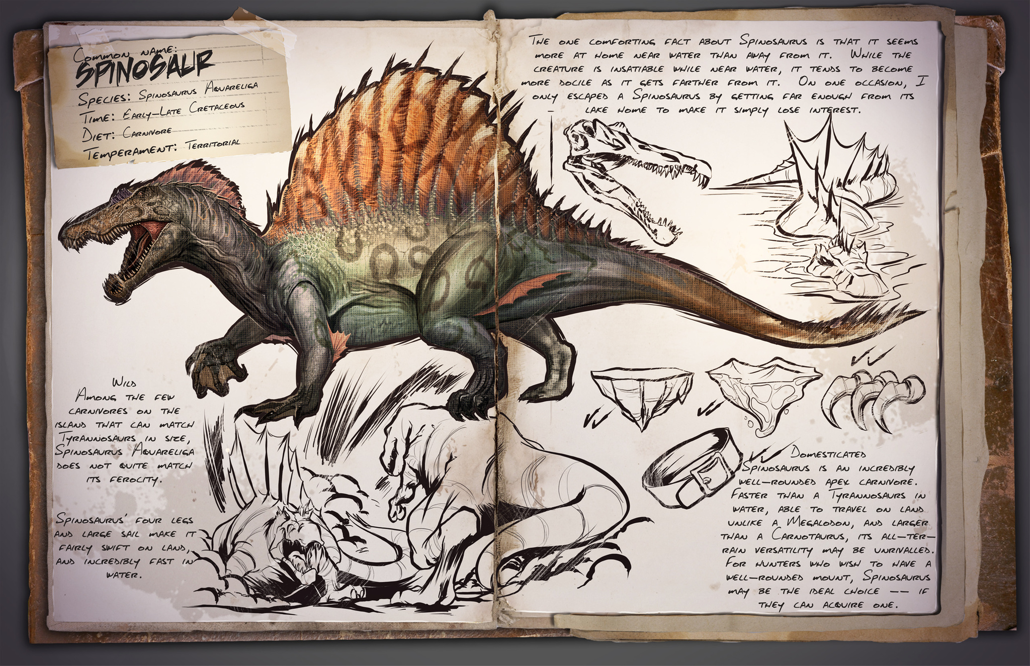 Spinosaurus: erste Sichtung