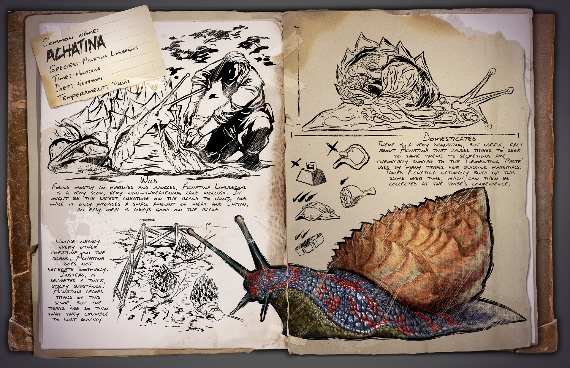 Dino Dossier: Achatina – Snail