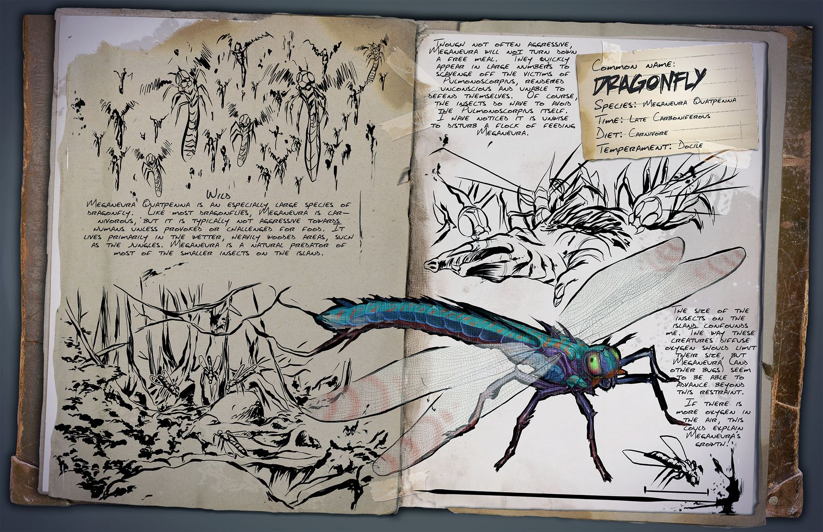 Dino Dossier: Meganeura (Dragonfly)