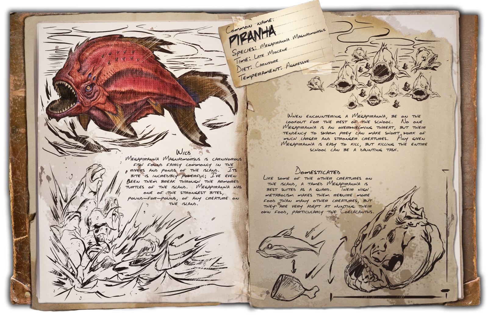 Dino Dossier: Piranha