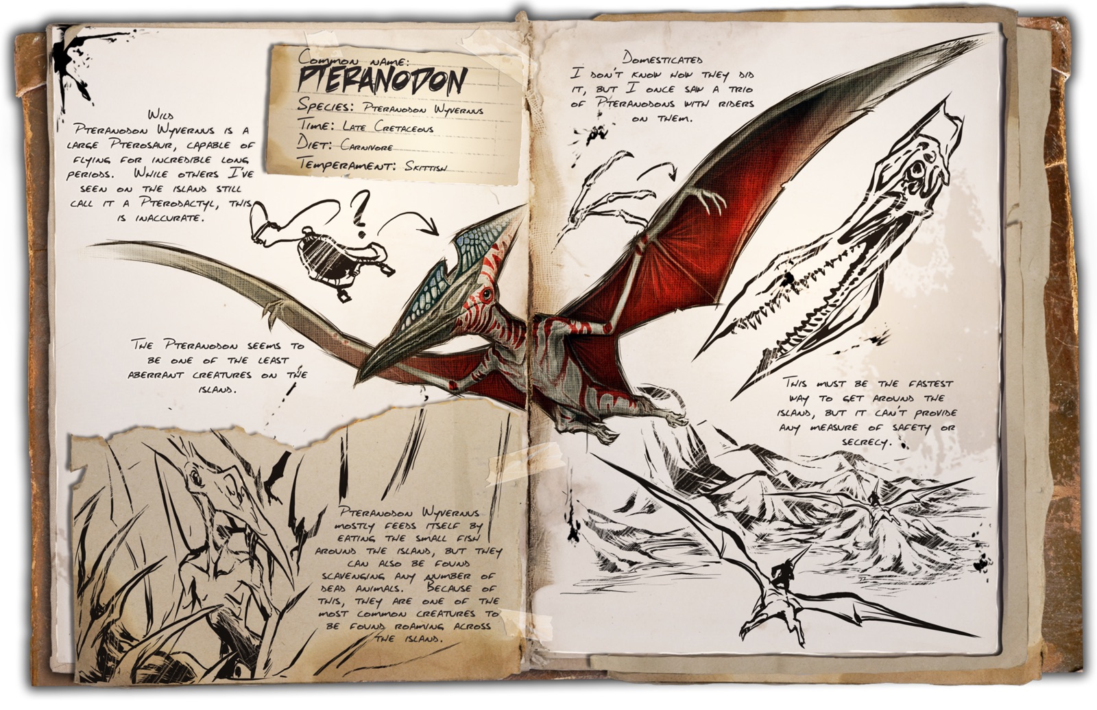 Deutsches Dino Dossier: Pteranodon