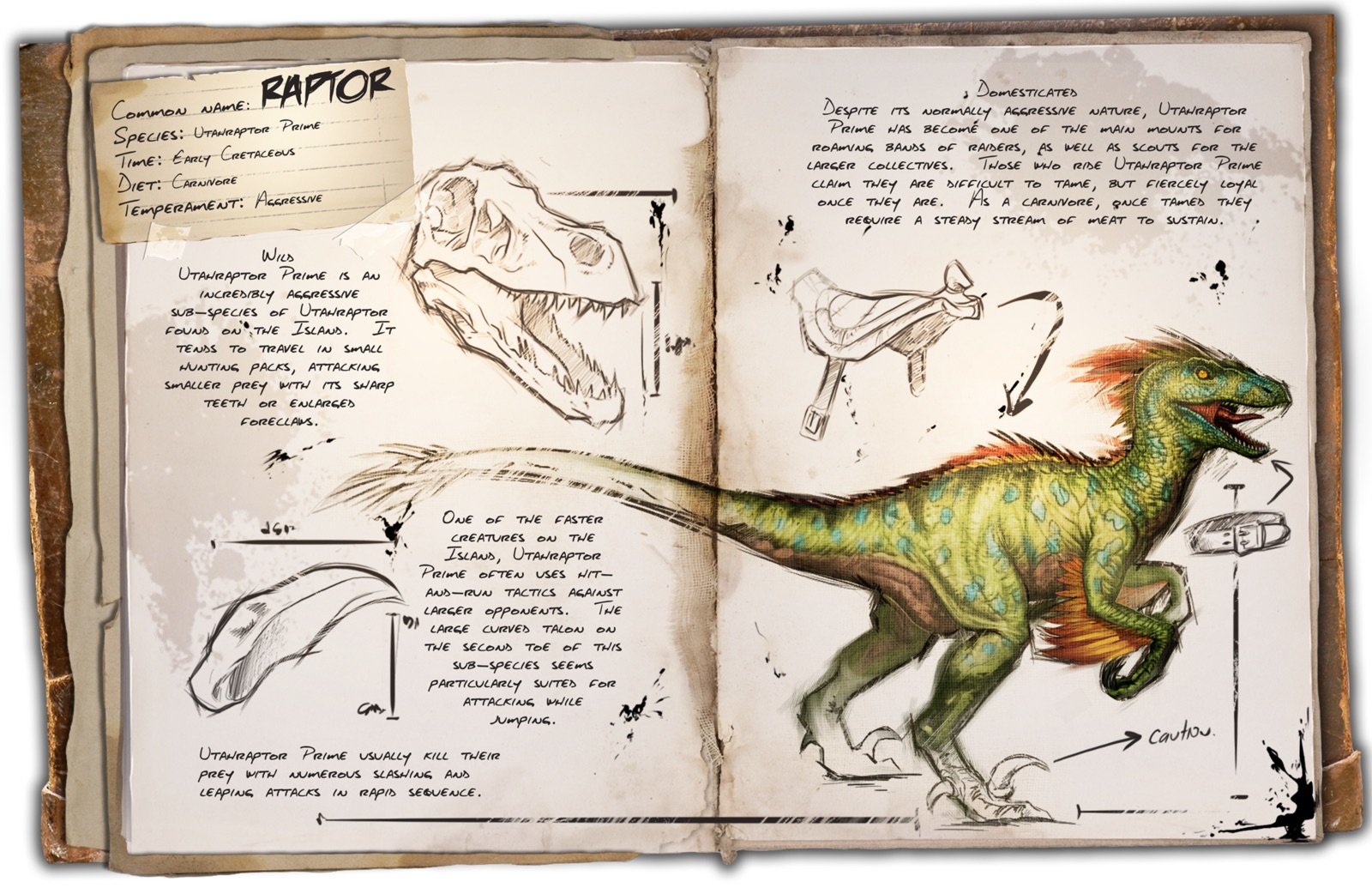 Deutsches Dino Dossier: Raptor