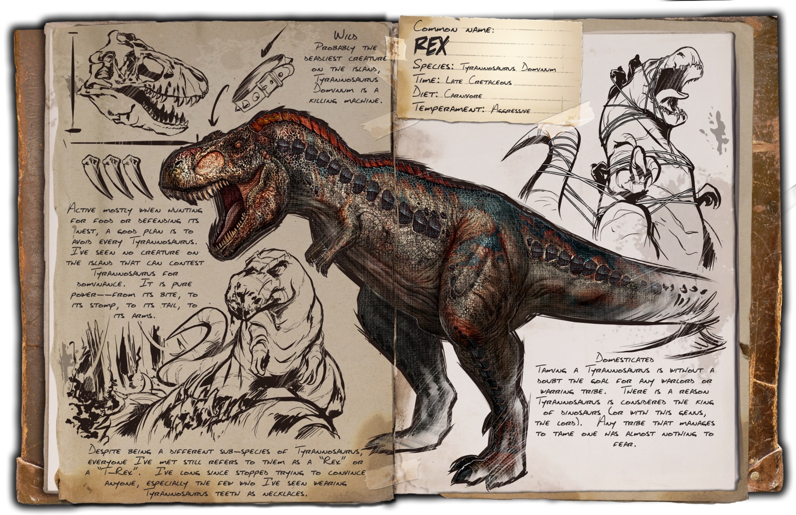 Deutsches Dino Dossier: Rex
