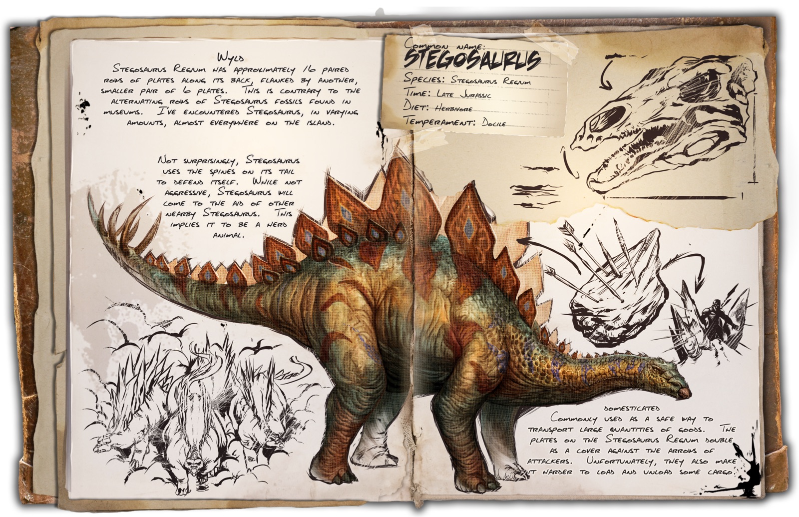 Deutsches Dino Dossier: Stegosaurus