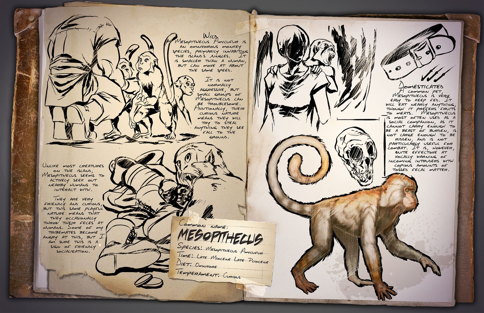 Dino Dossier: Mesopithecus – Ape