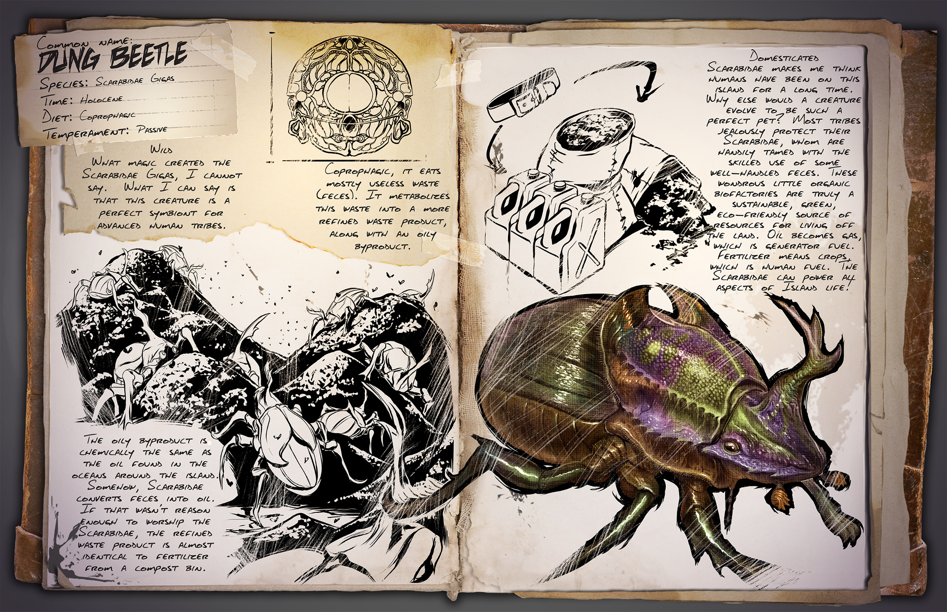 Dino Dossier: Dungbeetle