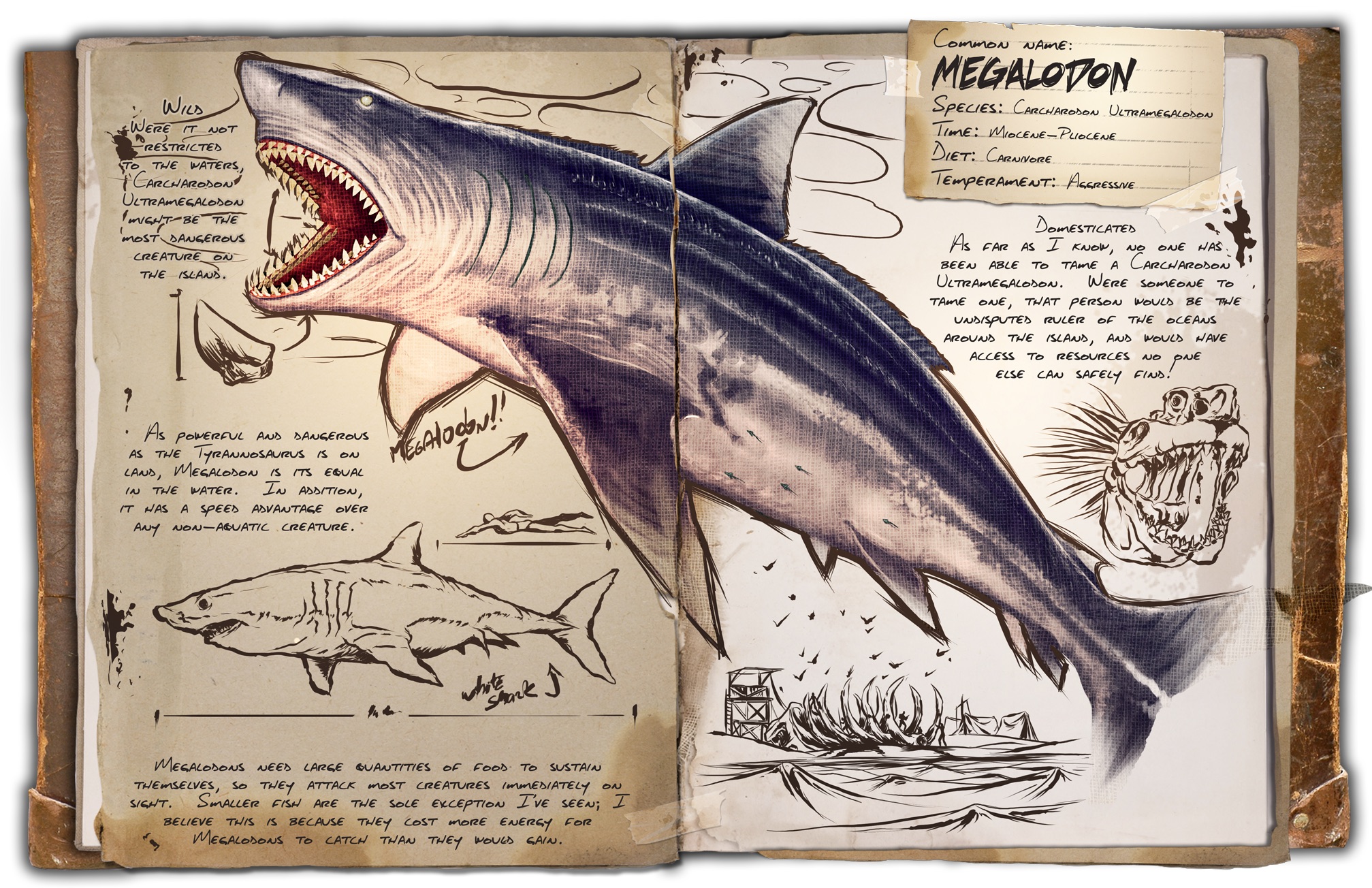 Deutsches Dino Dossier: Megalodon