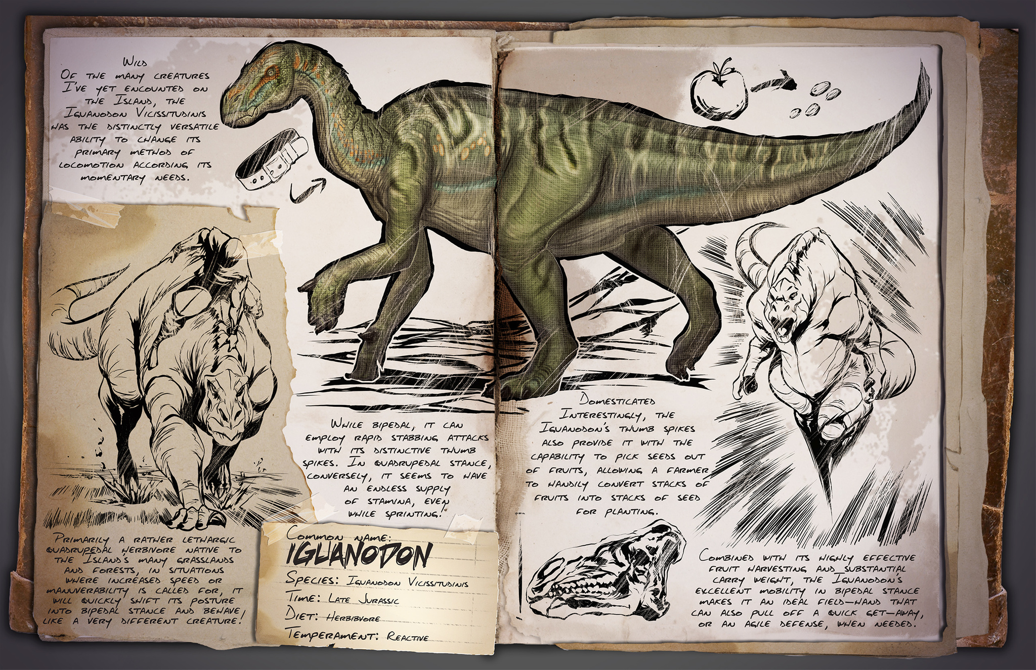 Deutsches Dino Dossier: Iguanodon
