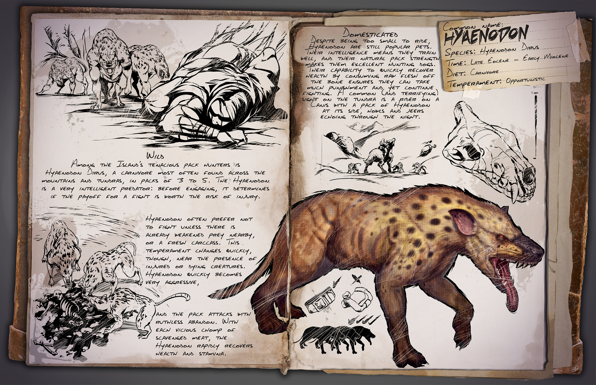 Dino Dossier: Hyaenodon