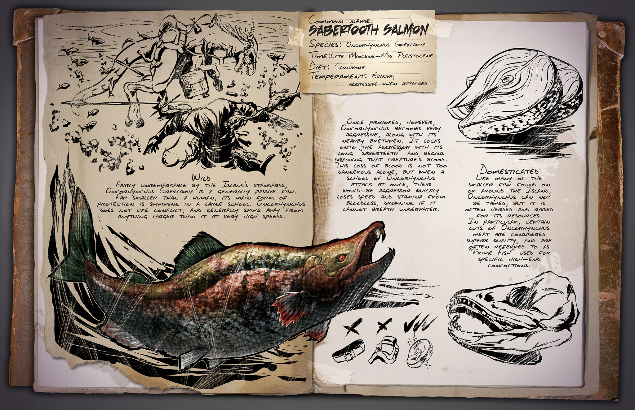Deutsches Dino Dossier: Oncorhynchus –  Sabertooth Salmon