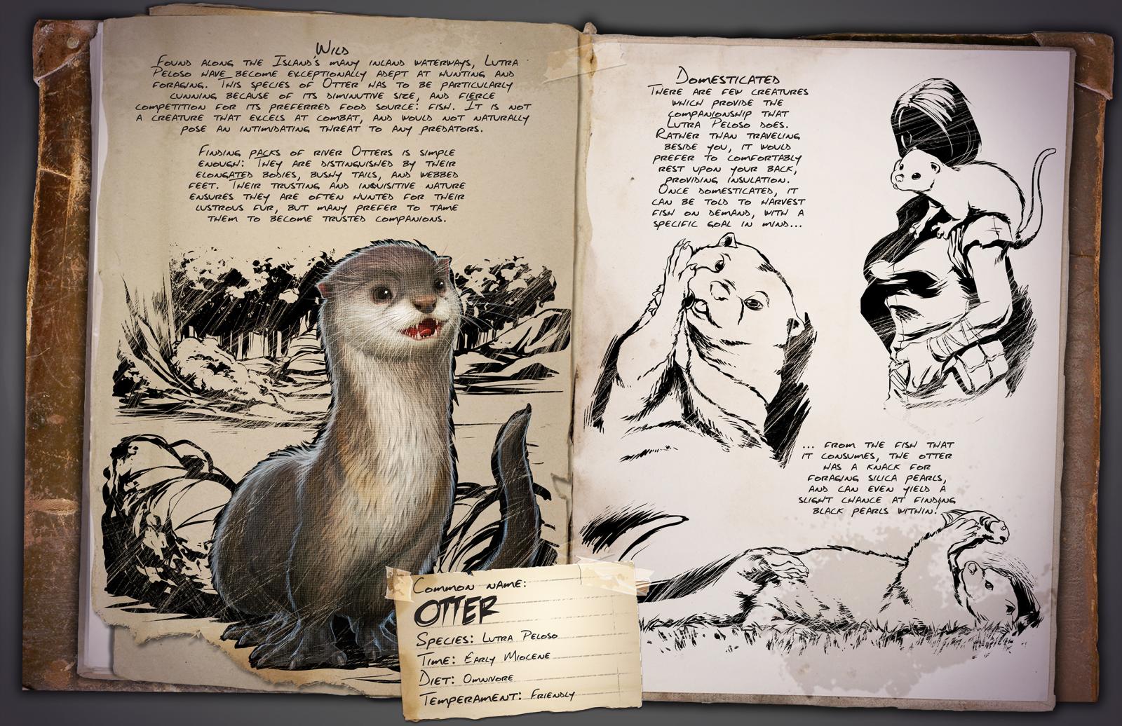 Deutsches Dino Dossier: Otter
