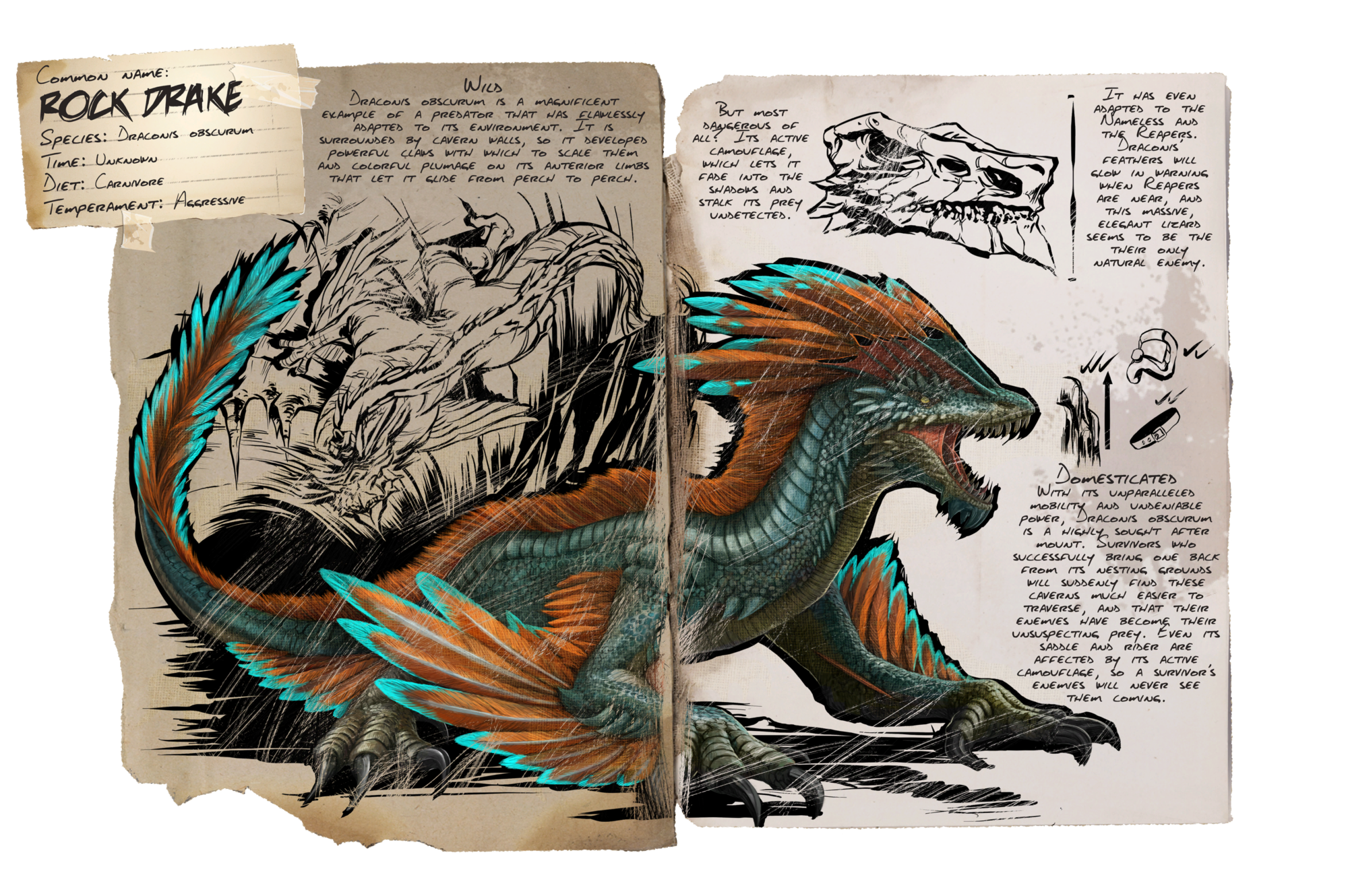 Deutsches Dino Dossier: Rock Drake